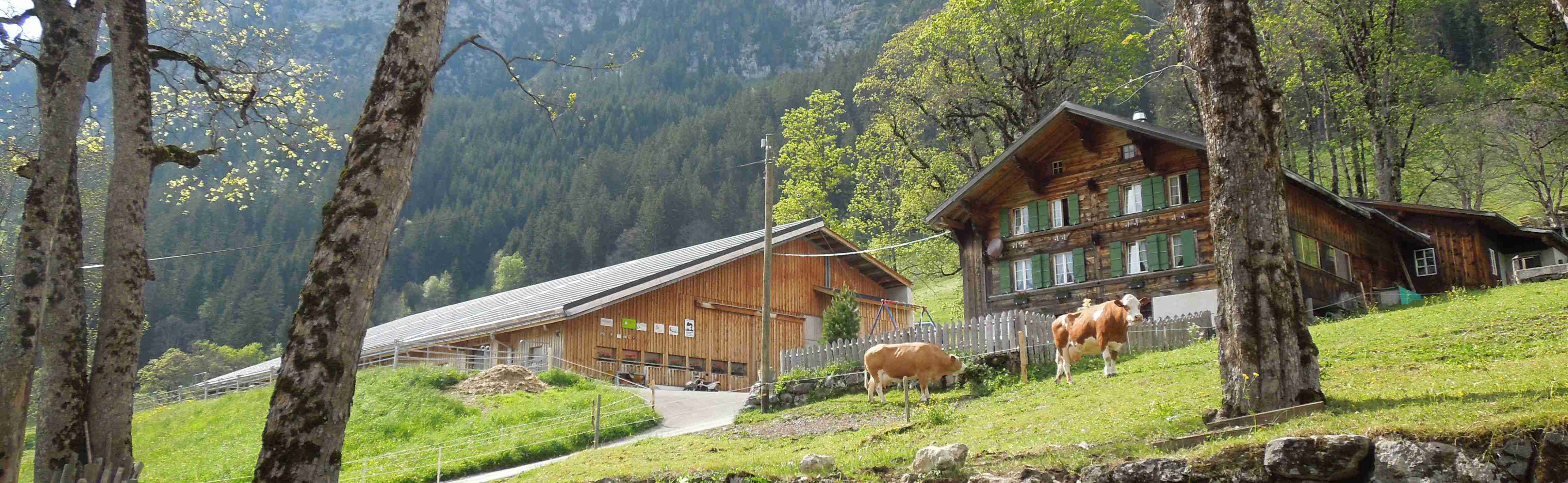 Scheune mit Wohnhaus