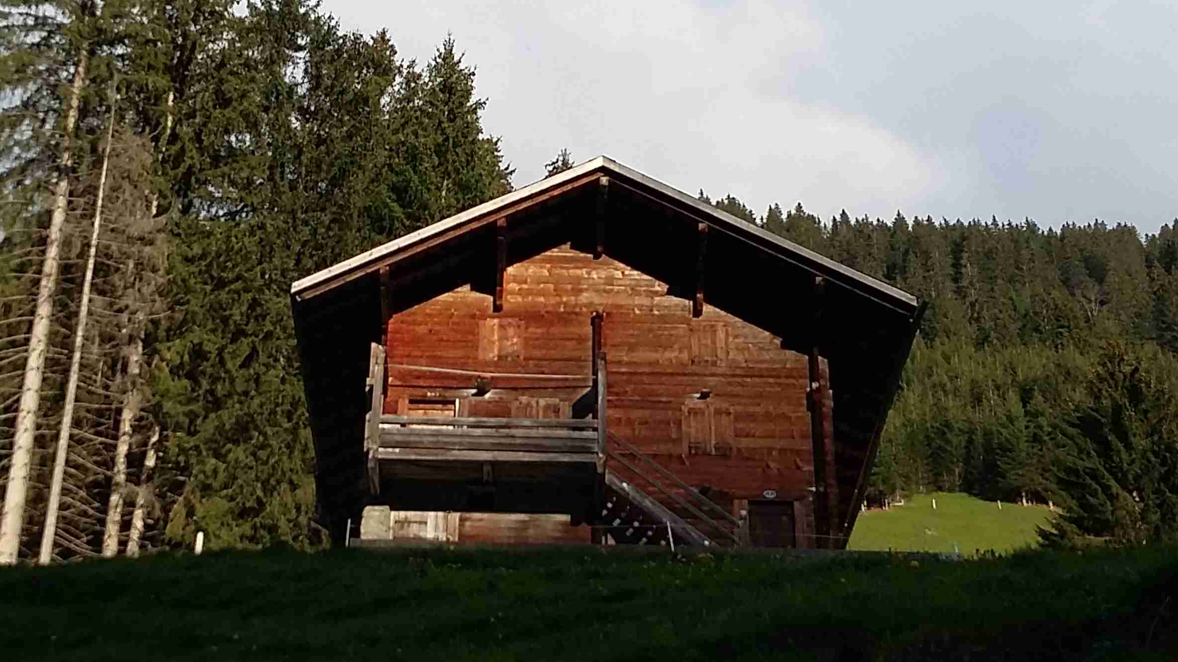 Wassoltregg